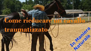 Come rieducare un cavallo traumatizzato [upl. by Camm]