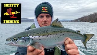 FISHING the FINGER LAKES in NEW YORK for SALMON amp BROWN TROUT [upl. by Maude]