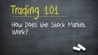 Trading 101 How Does the Stock Market Work [upl. by Hanas122]