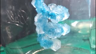 How are Crystals Formed [upl. by Mcmahon]