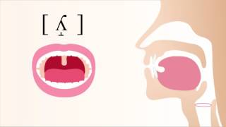 ʎ̝  voiced dorsal palatal lateral fricative [upl. by Nitsu917]