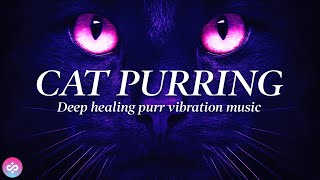 CAT PURRING HEALING POWER VIBRATIONS ✧120hz ✧ RELIEVE ANXIETY STRESS amp SLEEP ✧ FOR HUMANS amp CATS 4K [upl. by Past]