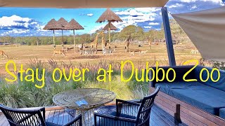 Dubbo Zoo Overnight Stay 4K [upl. by Ransome]