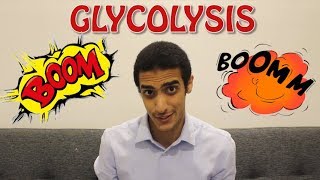 Glycolysis Step by Step شرح بالعربي [upl. by Burtie]