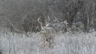 Crossbow Country  Deer amp Deer Hunting TV [upl. by Enelkcaj]