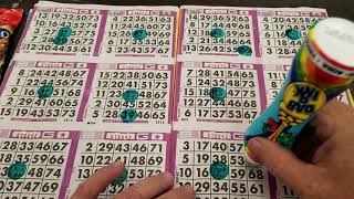 Bingo Games [upl. by Charpentier573]