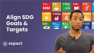 Global Goals 🌍 Tips for Aligning with SDG Targets and SDG Indicators [upl. by Leighton]