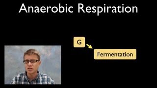 Anaerobic Respiration [upl. by Amsden]