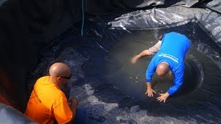 Pond Liner Installation  Part 29 [upl. by Ryann926]