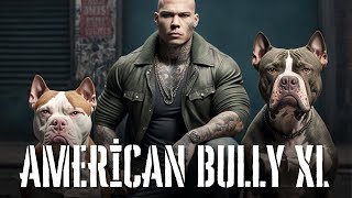 American Bully XL – Standard Regimen Bloodlines Breeding amp FAQ [upl. by Eoj]