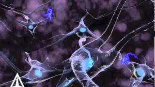 How Neurotransmission amp brain signals work  3D animation [upl. by Rheba]