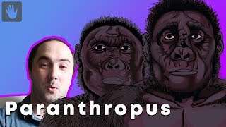 Paranthropus Evolution  Lets Talk About A Comment [upl. by Idzik]