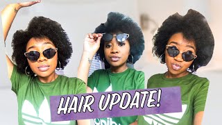 1 Month Natural Hair Update  Keratin Treatment  4C Hair [upl. by Ueihtam774]