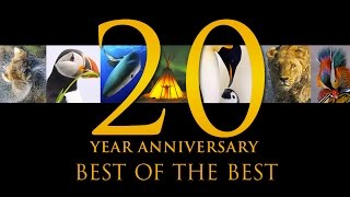 Best of the Best 20 Years of Natures Best Photography [upl. by Oriaj]