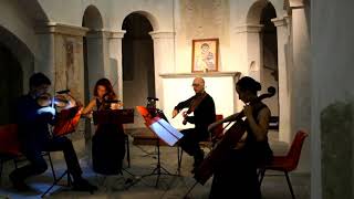 Handel Sarabande  String Quartet [upl. by Stesha]