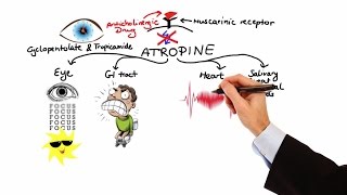 Pharmacology  ANTICHOLINERGIC amp NEUROMUSCULAR BLOCKING AGENTS MADE EASY [upl. by Yramesor]