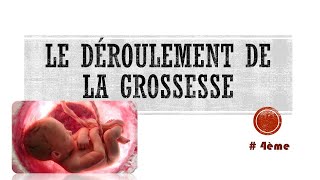 4e la grossesse [upl. by Cadmarr]