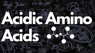 Acidic Amino Acids Aspartate amp Glutamate  MCAT [upl. by King]