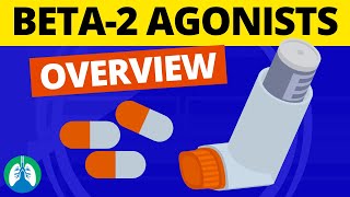 Beta2 Adrenergic Agonists Medications OVERVIEW  Bronchodilators [upl. by Fulmer]