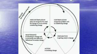 Stages of Behavior Change [upl. by Ennazus]