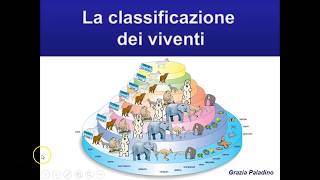 La classificazione dei viventi [upl. by Elyrrad]