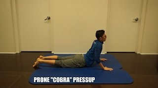 Prone quotCobraquot Press Up [upl. by Isaak964]