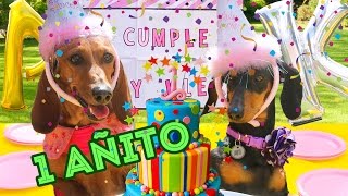 MI FIESTA DE 1 AÑITO  LOS POLINESIOS VLOGS [upl. by Kenway646]