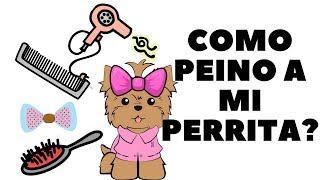 Como peinar a mi Perrita  Tips by Natalia Ospina [upl. by Naesal]