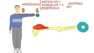 Entenda a Mecânica do Exercício  vídeo ilustrado [upl. by Sonitnatsnok814]
