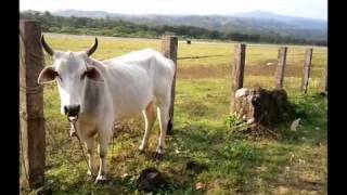 BATANES  Mt Iraya [upl. by Llehsyt]