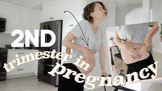 MY WHOLE FIRST TRIMESTER IN ONE VLOG  REAL amp RAW EARLY PREGNANCY SYMPTOMS [upl. by Maurizio]