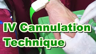 How to Insert IV Cannula  IV Cannulation Technique  Branula  Intravenous Catheter [upl. by Theis789]