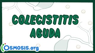 Colecistitis Aguda  Ósmosis en Español [upl. by Whiteley]