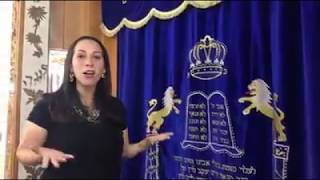 What Is a Synagogue Walk Through an Orthodox Synagogue [upl. by Novelia]