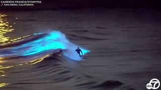 Bioluminescent waves Surfers ride glowing waters off San Clemente San Diego coasts  ABC7 [upl. by Acinorahs]