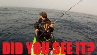 Mystery Ocean Creature Caught on GoPro While Kayak Fishing and still Unidentified [upl. by Iong]