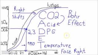 Physiology  The Oxygen–Hemoglobin Dissociation Curve [upl. by Norym]