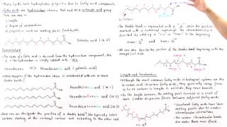 Fatty Acids [upl. by Broida]