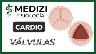 Clase 18 Fisiología Cardíaca 3  Función de las válvulas IGdoctorpaiva [upl. by Merilee]