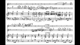 F Schubert  Piano trio in B flat major No 1 op99 wscore [upl. by Tamra]