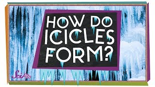 Where Do Icicles Come From  Winter Science  SciShow Kids [upl. by Aiyotal379]