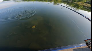 Ultra Clear Water Sight Fishing Smallmouth Bass on Beds MILLE LACS LAKE 2023 [upl. by Leticia]