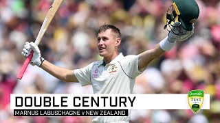 Full highlights of Marnus Labuschagne’s 215 v New Zealand [upl. by Natam]