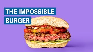 The science behind the Impossible Burger [upl. by Alleynad351]