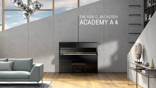 C Bechstein Academy A 4  Our talented allrounder [upl. by Enaitsirk746]