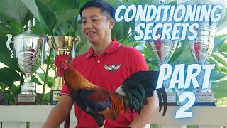 Part 2  Ang Sikreto Sa Pagkukundisyon Ng Manok Panabong [upl. by Ennairol]