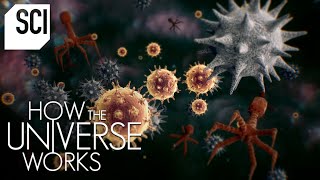 The Invisible Microcosmos  How the Universe Works [upl. by Norra]