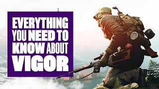 Everything You Need To Know About Vigor [upl. by Aldos]