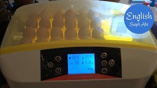 How to use HHD 32  56 Automatic egg incubator and solve problems Egg incubation Part 1【4K】 [upl. by Aciruam]