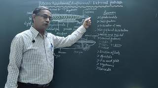 Excretory system of BranchiostomaAmphioxus [upl. by Charmion383]